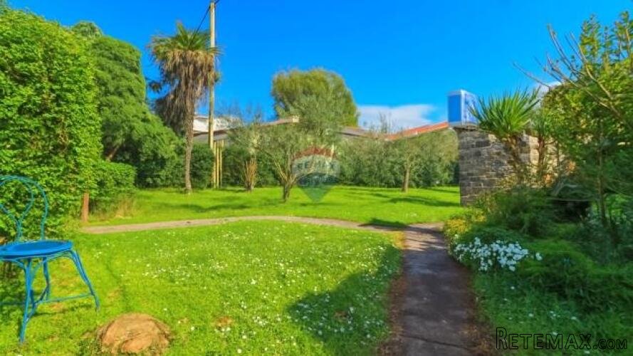 Istra, Umag - građevinsko zemljište, projekt za 4 kuće, 200 - 3