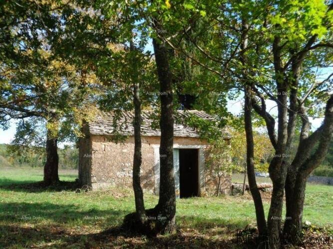 Građevinsko zemljište, Žminj. 60 EURA M2. - 4