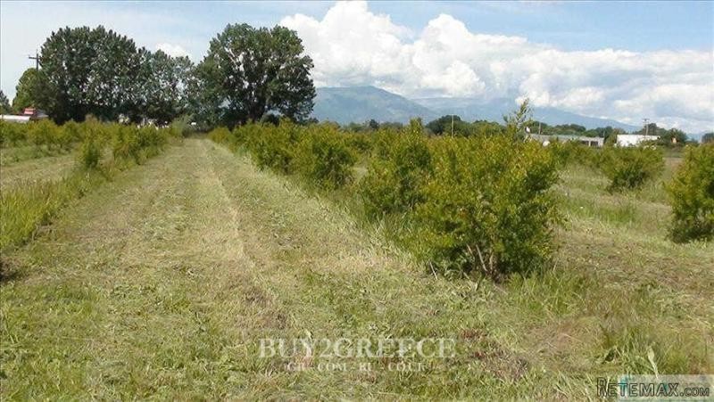 Β721 - FOR SALE LAND OF 10