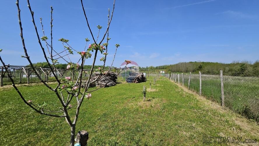 Istra,Umag okolica-uređeno zemljište 1.400 m², 3 km od mora