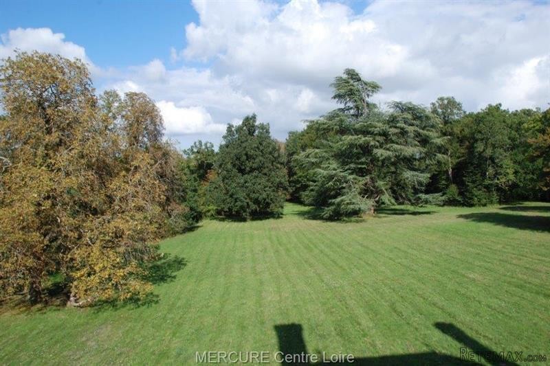 11 bedroom Castle For Sale: 45500 GIEN - 2