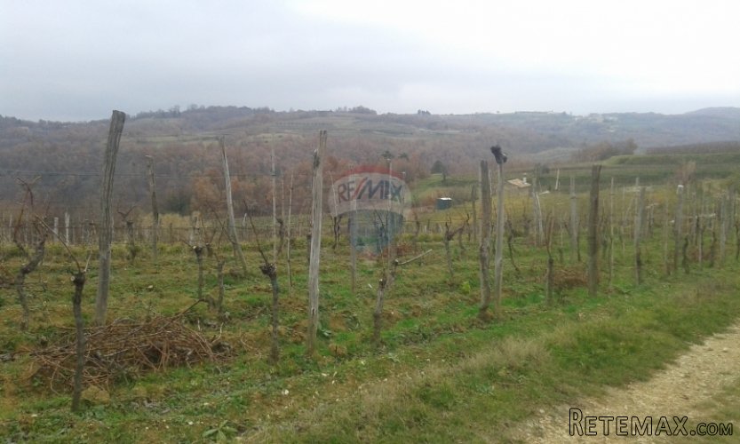 Momjan, građevinsko zemljište s otvorenim pogledom