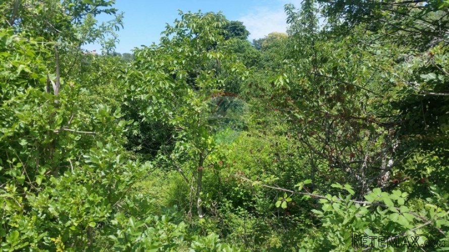 ODLIČNA PRILIKA- GRAĐEVINSKO ZEMLJIŠTE 5 KM OD LABINA! - 2