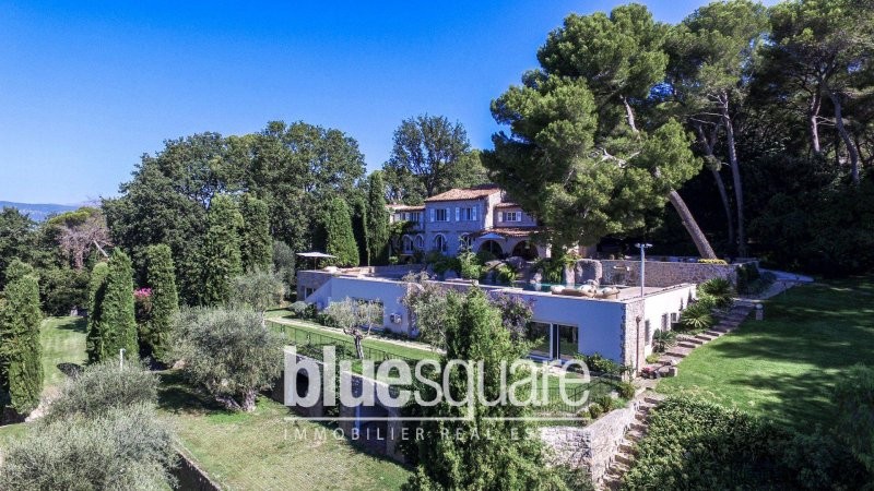 Exceptional domain in MOUGINS