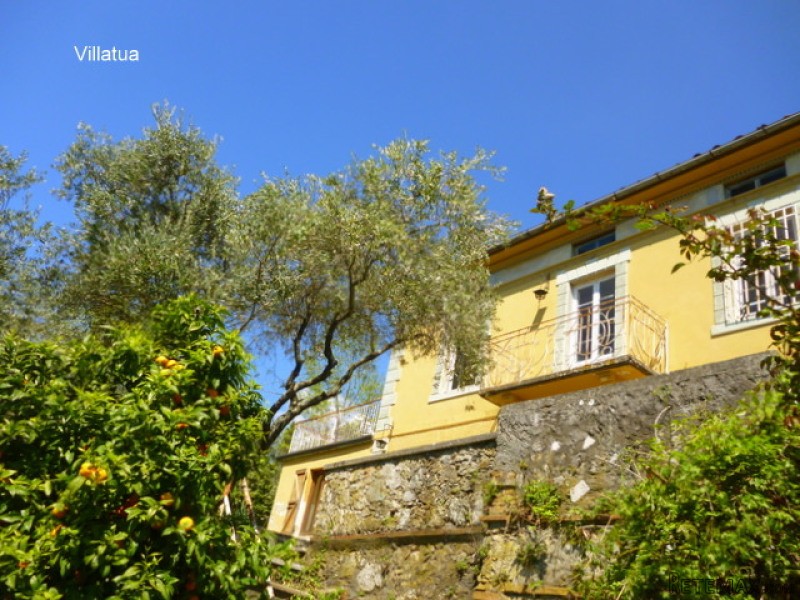 Liberty Villa (1900s) - For Sale - -.. - 2