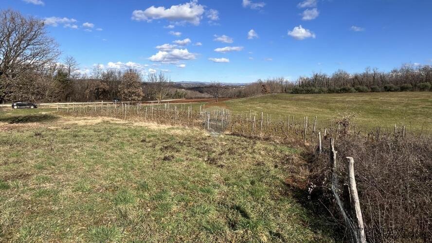 Istra, Vižinada - okolica, građevinsko zemljište otvorenog p - 3