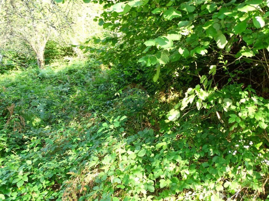 Doluš-građevni teren - 5