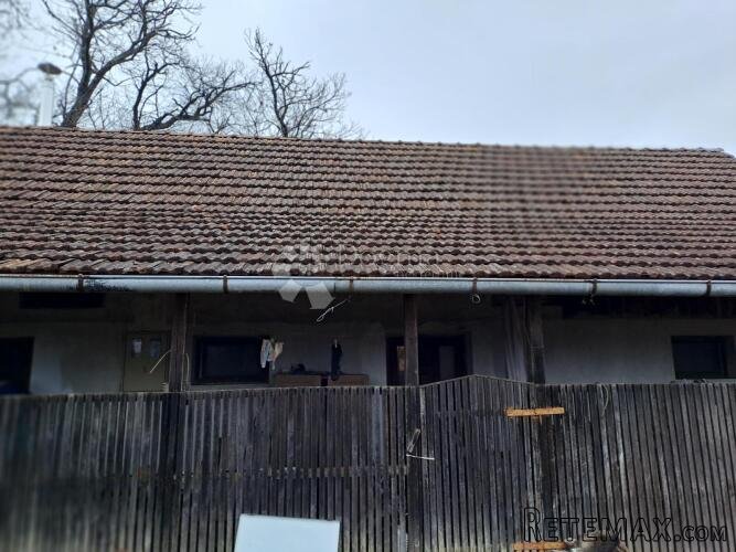 2 kuće, 3ha, selo, divljina