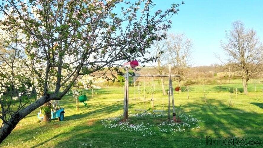 Istra,Umag,okolica-Poljoprivredno zemljište s vodom