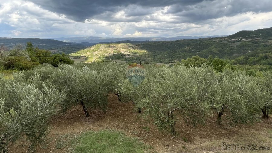 Pazin - Okolica, predivno zemljište sa pogledom na Butonigu - 2
