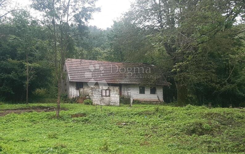 Imanje sa starinom u Ogulinskom Hreljinu