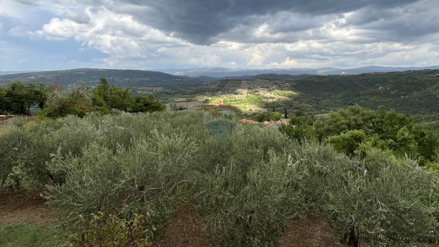 Pazin - Okolica, predivno zemljište sa pogledom na Butonigu - 3