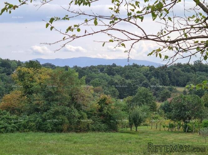 Stare ruševne kuće na velikom terenu od 6880 m2. - 3