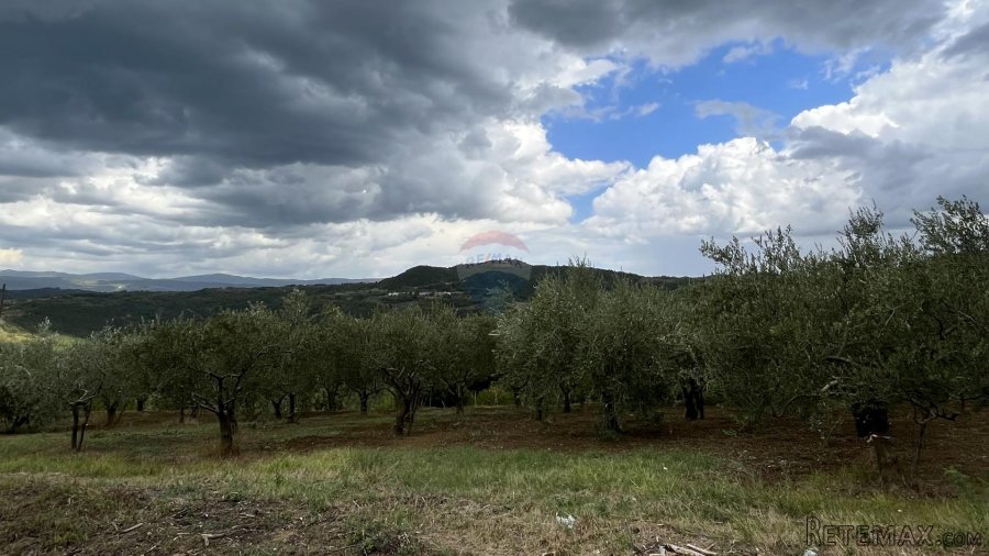Pazin - Okolica, predivno zemljište sa pogledom na Butonigu - 4