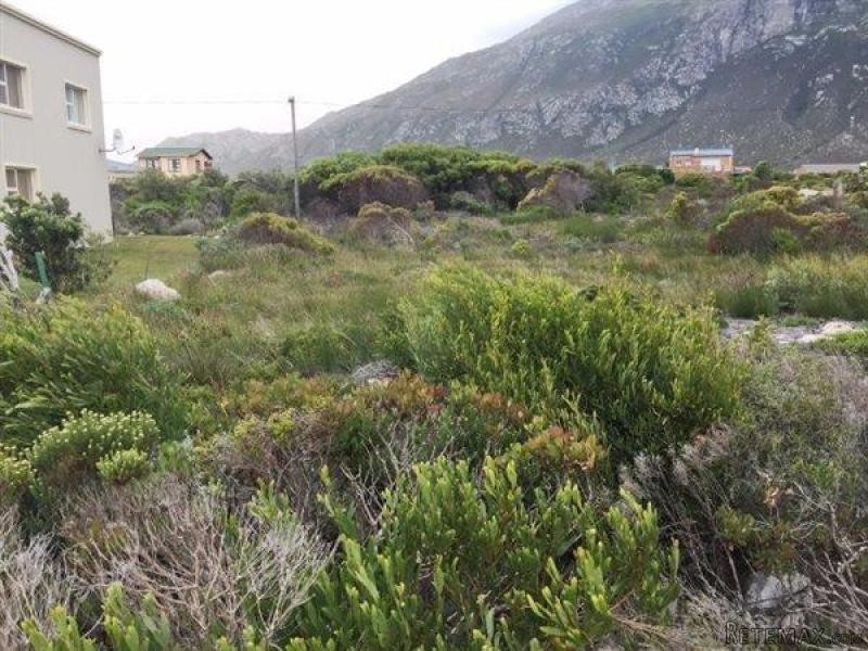 Bettys Bay Vacant Land, Bettys Bay - 2