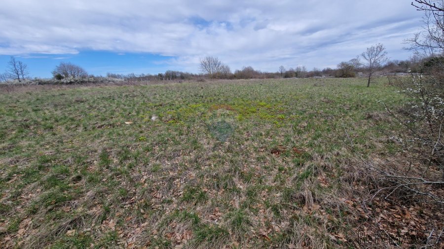 Istra, Bokordići, Negrađevinsko Zemljište 5565m2 - 2