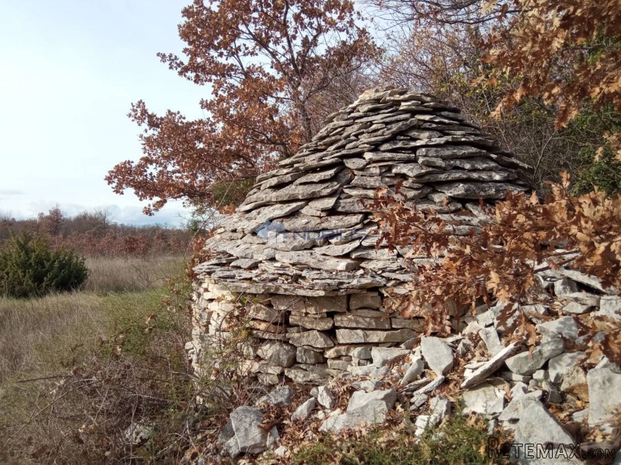 Filipana,poljoprivredno zemljište - 3