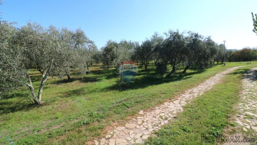 Novigrad, okolica - građevinsko zemljište 514 m²