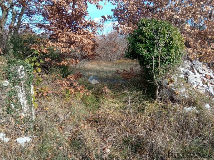 Filipana,poljoprivredno zemljište - 5