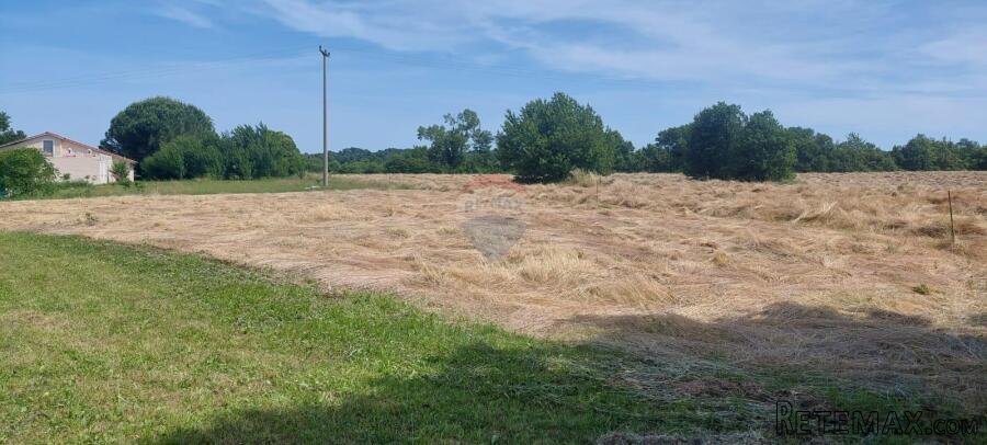 Istra, Kanfanar -okolica- veliko građevinsko zemljište
