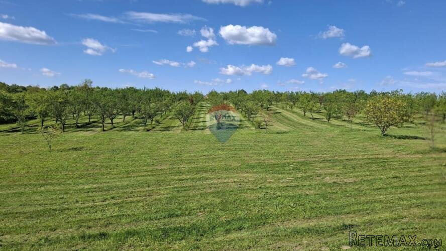 Nova Gradiška, Gorice, veliko zemljište sa objektima