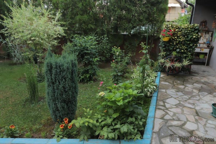 Porodicna kuca sa lokalom-Vlasotince - 11
