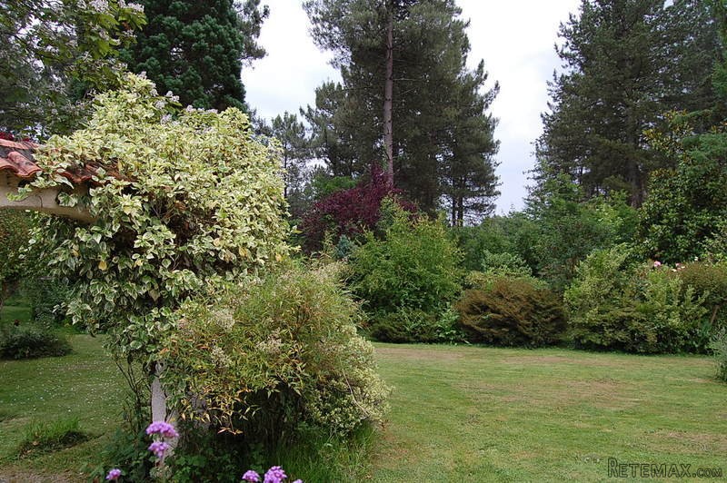 Pretty Villa With Beautiful Gardens.. - 2