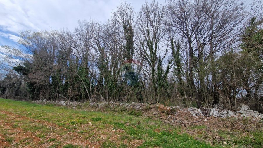 Istra, Bokordići, Negrađevinsko Zemljište 2769m2 - 2