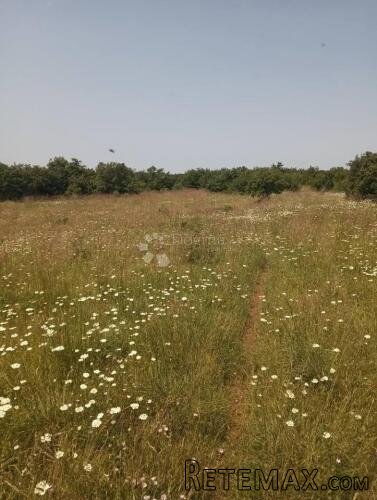 Poljoprivredno Zemljište 47760m2 - Krmed - 2