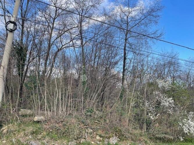Saršoni -3000m2 ,građeviski teren za dvije kuće - 2