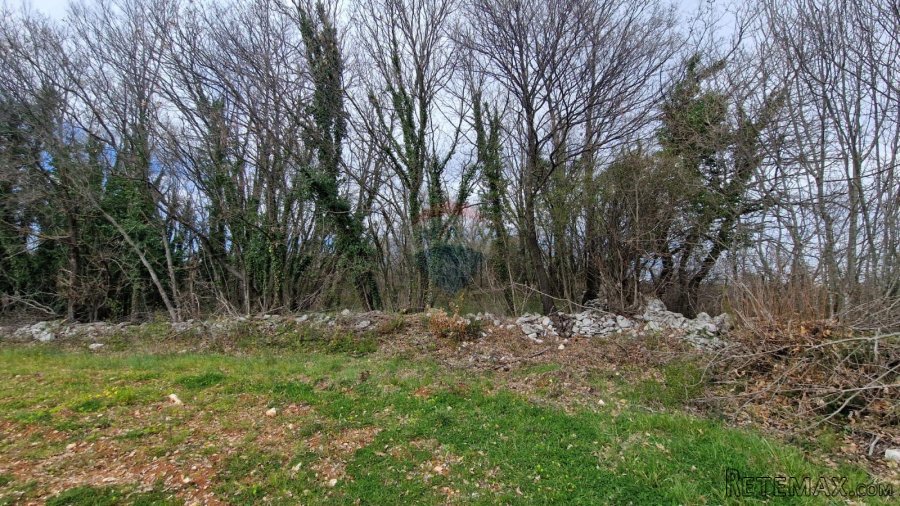 Istra, Bokordići, Negrađevinsko Zemljište 2769m2 - 3