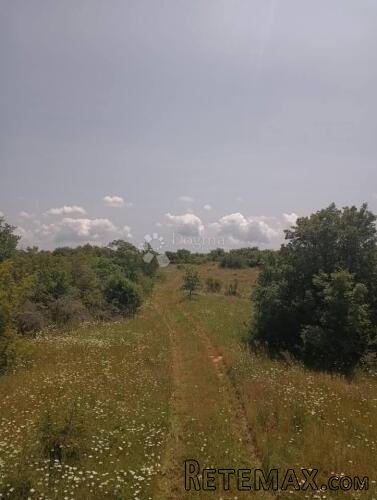 Poljoprivredno Zemljište 47760m2 - Krmed - 3