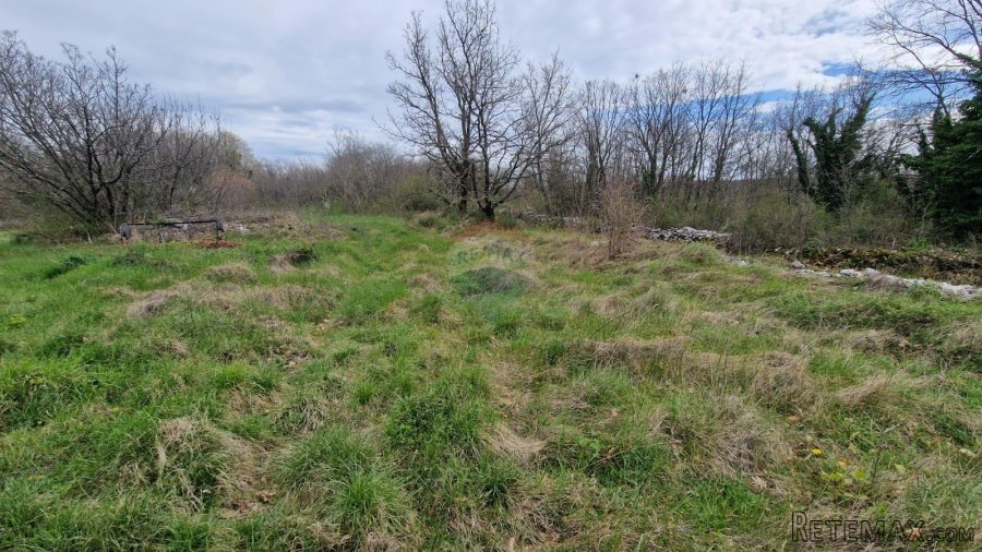 Istra, Bokordići, Negrađevinsko Zemljište 2769m2 - 4