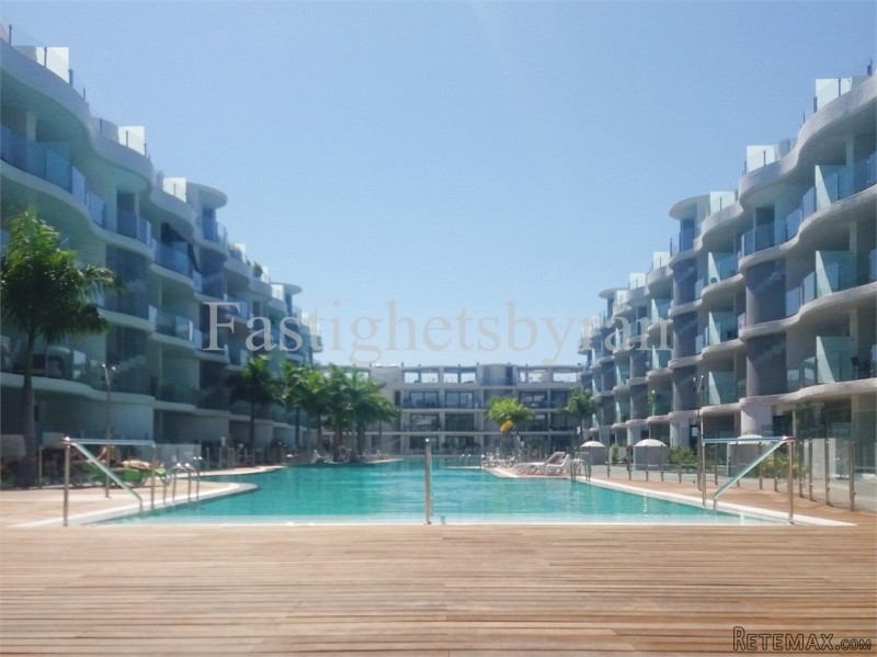 Palm Mar | Teneriffa