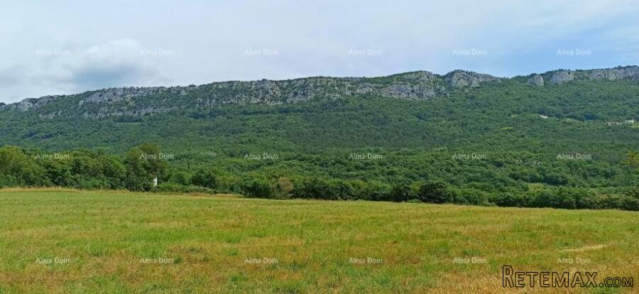 Prodaja građevinskog zemljišta, površine od 1374 m2, Buzet! - 2