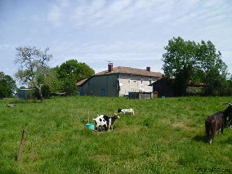 Small Holding With Farmhouse To..
