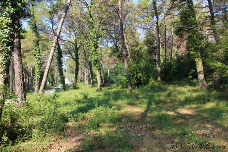 TAR, VABRIGA, ZEMLJIŠTE,SVEGA 400M OD MORA...