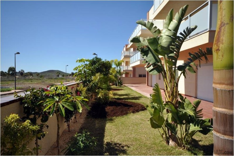 Penthouse For Sale in Amarilla Golf..