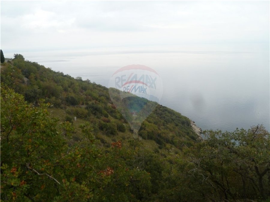 BRSEČ - 26.000 m2 - POLJOPRIVREDNOG TERENA UZ MORE