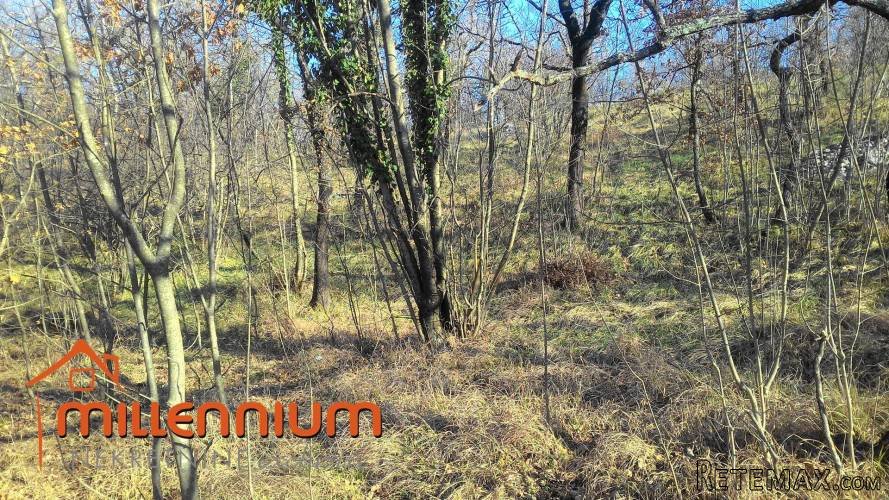 Rijeka, Gornja Drenova, zemljište od 3875m2 - 3