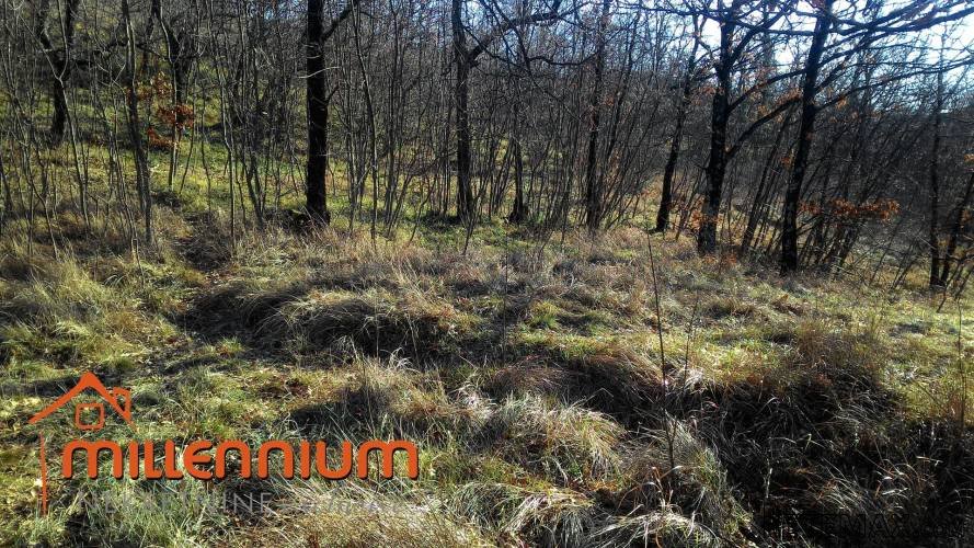 Rijeka, Gornja Drenova, zemljište od 3875m2 - 4