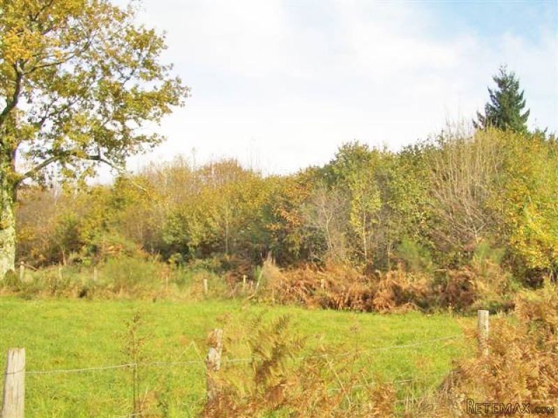 2.9 Ha Of Farming Land In The Charente.. - 2