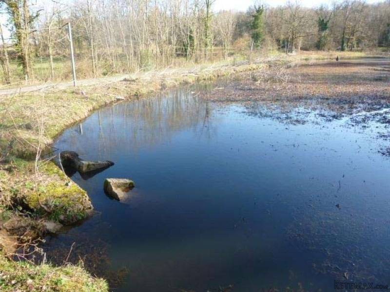 Large Lake Set In 1 Hectare Of Land In.. - 2