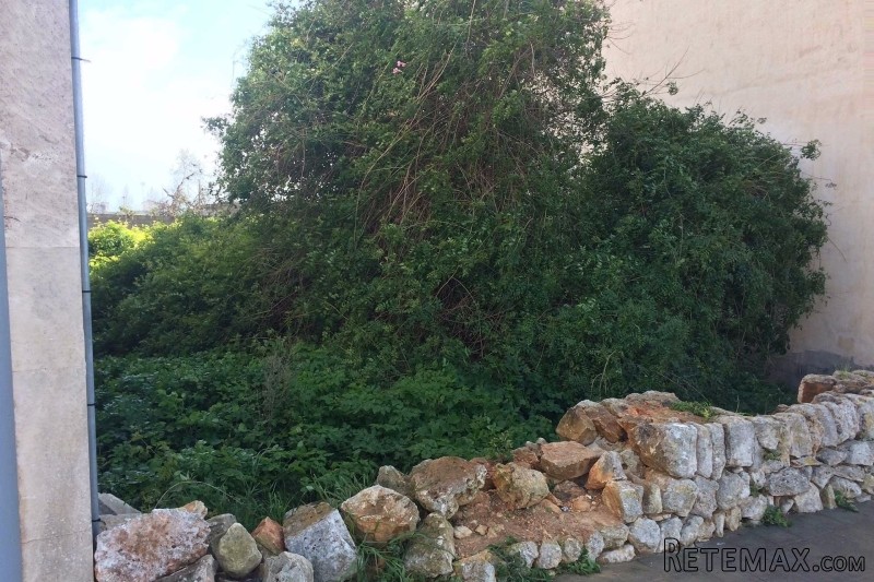 Plot in Santanyi