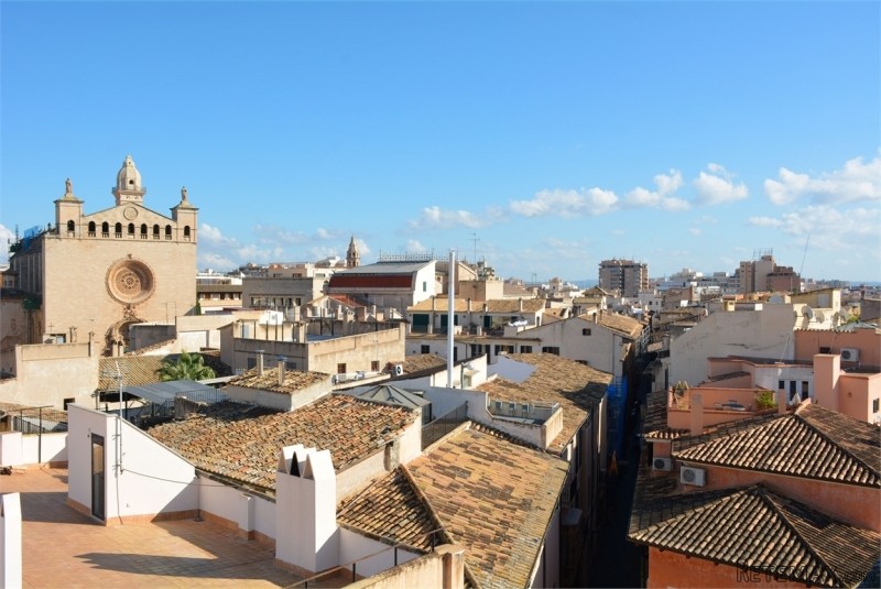 Palma | Mallorca - 2