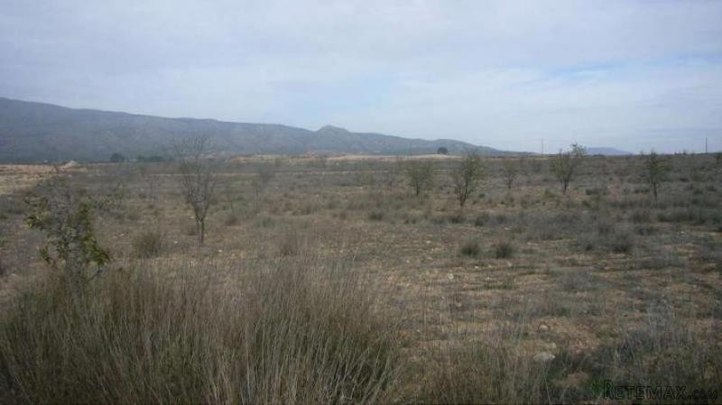 0 bedroom Land in Jumilla (Ref. PV3415) - 2