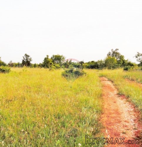 Istra, poljoprivredno zemljište sa idejnim projektom 22289m2