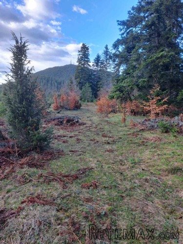 Plac Zlatibor selo Stublo - 4