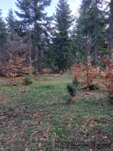 Plac Zlatibor selo Stublo - 5