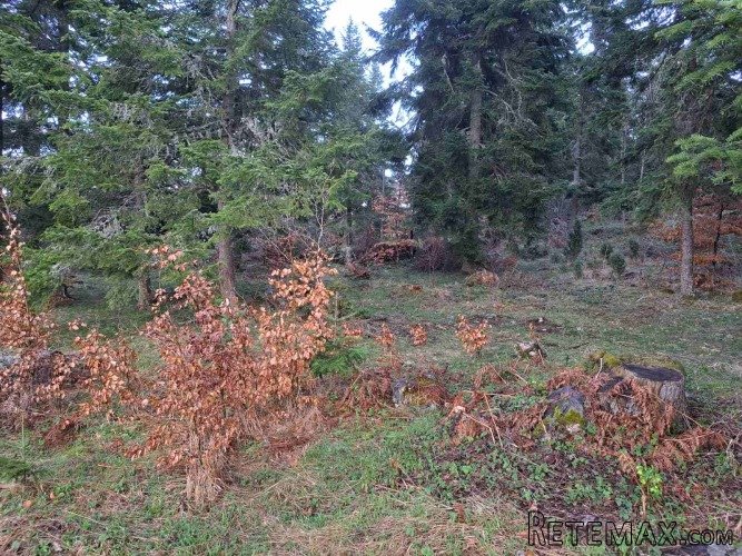 Plac Zlatibor selo Stublo - 8